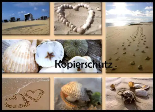 POSTKARTE SCHÖNE GRÜSSE VON DER SEE MEER MUSCHEL COQUILLAGE DE MER sea shell Krebs crab crabe postcard Ansichtskarte cpa