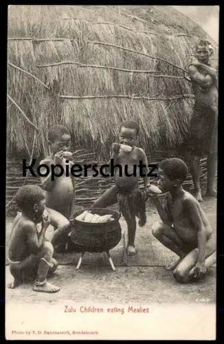 ALTE POSTKARTE ZULU CHILDREN EATING MEALIES AFRICA Afrika meal Kinder Kind child girl boy girls boys CapeTown Rondebosch