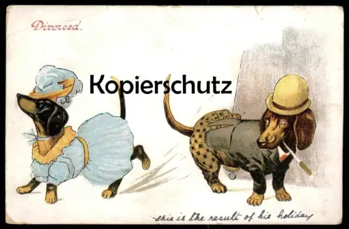 ALTE POSTKARTE DACKEL VERMENSCHLICHT DIVORCED 1907 Scheidung divorce geschieden teckel basset dachshund Humor humour dog