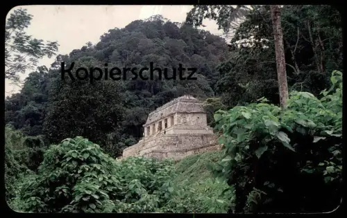 ÄLTERE POSTKARTE SELVA PALENCANA CON RUINAS MEXICO MEXIQUE SELVA PALENQUE TEMPLO DE LAS INSCRIPCIONES CHIAPAS postcard