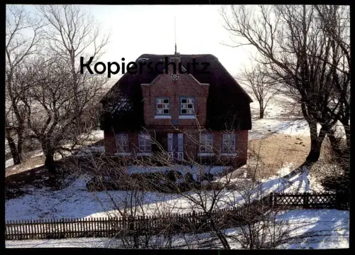 ÄLTERE POSTKARTE WINTER HINTERM DEICH HUSUM SIMONSBERG Friesenhaus Haus Ansichtskarte postcard cpa AK