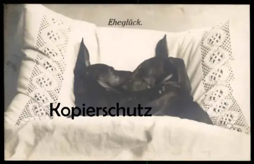 ALTE POSTKARTE DACKEL EHEGLÜCK EHE SPITZE Bett marriage bed mariage vermenschlicht Ehebett teckel basset dachshund dog
