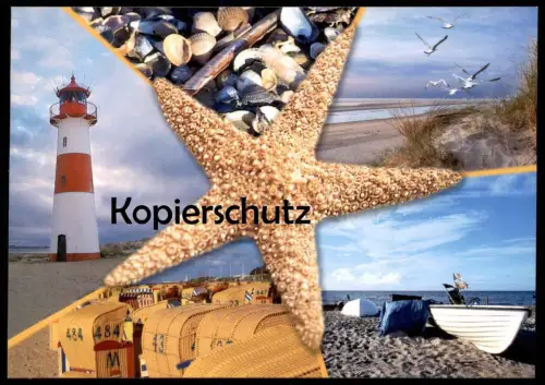 POSTKARTE SEE MEER MUSCHEL SEESTERN COQUILLAGE DE MER LEUCHTTURM Möwe Strandkorb shell seastar etoile postcard cpa AK