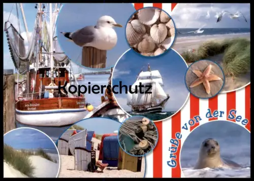 POSTKARTE GRÜSSE VON DER SEE KUTTER GREETSIEL MEER MUSCHEL COQUILLAGE DE MER Seestern etoile shell postcard AK cpa