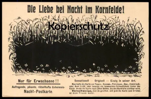ALTE NACHT-POSTKARTE LIEBE BEI NACHT IM KORNFELDE NUR FÜR ERWACHSENE HUMOR KORNFELD sex humour at night postcard cpa AK