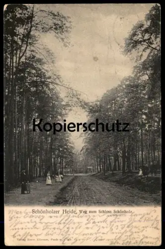 ALTE POSTKARTE BERLIN SCHÖNHOLZER HEIDE WEG ZUM SCHLOSS SCHÖNHOLZ Niederschönhausen Ansichtskarte AK postcard cpa
