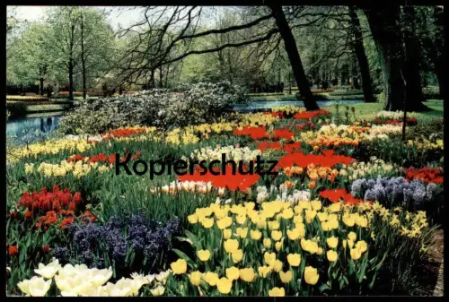 ÄLTERE POSTKARTE BLUMEN HOLLAND IN BLOEMENTOOI BLUMENSCHMUCK KEUKENHOF Flowers Fleurs Bloemen Nederland Niederlande