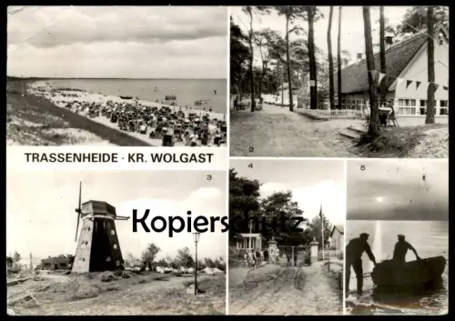 ÄLTERE POSTKARTE TRASSENHEIDE KREIS WOLGAST MÜHLE ZELTLAGER WINDMÜHLE Mill Moulin Windmill Molen Ansichtskarte postcard