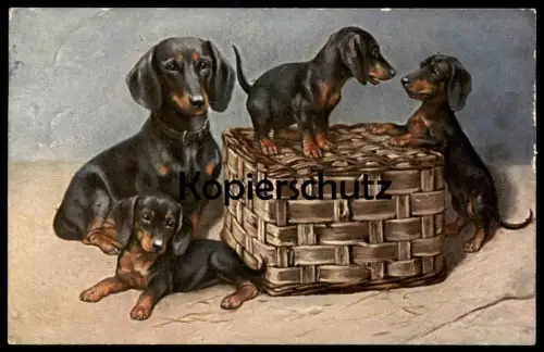 ALTE POSTKARTE DACKEL WELPEN SPIELEN KORB HÜNDIN Hund Dachshund Teckel dog chien Ansichtskarte AK postcard cpa