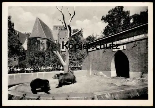 ÄLTERE POSTKARTE BERLIN BÄRENZWINGER DDR Es lebe das unbesiegbare Lager des Friedens der Demokratie Bär ours bear