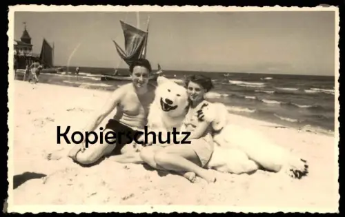 ALTE FOTO KARTE AHLBECK EISBÄR AM STRAND USEDOM Heringsdorf Bär ours blanc ice polar bear cpa photo Postkartenformat