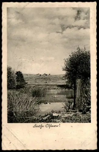 ALTE POSTKARTE FROHE OSTERN TEICH WEIDE KÜHE LANDSCHAFT FELDPOST 1941 happy easter cpa postcard AK Ansichtskarte