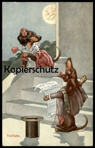 ALTE POSTKARTE DACKEL VERMENSCHLICHT VERLIEBT Mond Hund Dachshund Teckel dog chien postcard cpa AK