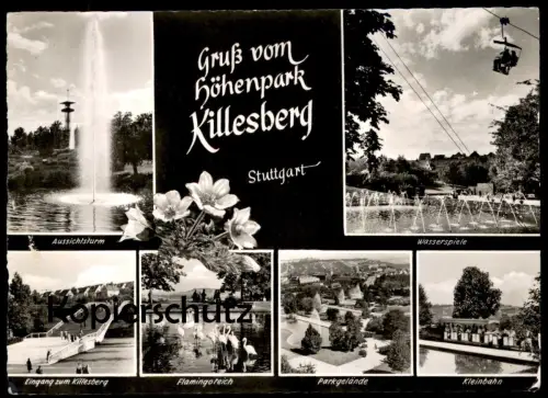 ÄLTERE POSTKARTE STUTTGART GRUSS VOM HÖHENPARK KILLESBERG Flamingo flamant Flamingos Kleinbahn Ansichtskarte postcard AK