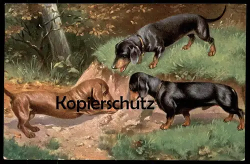 ALTE POSTKARTE DACKEL JAGDHUND Fuchsjagd Hund Dachshund Teckel dog chien Fuchsbau Fuchs Jagd hunting cpa AK postcard