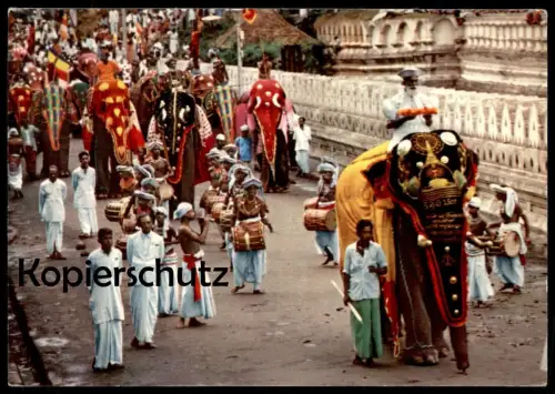 ÄLTERE POSTKARTE ELEFANT KANDY PERAHERA SRI LANKA elephant tusker Trommler drummer joueur postcard cpa Ansichtskarte AK