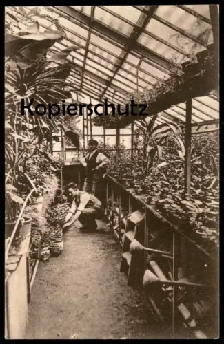ALTE POSTKARTE GEWÄCHSHAUS GENESUNGSHEIM REINDLITZ RYJICE CZECH REPUBLIC Botanik greenhouse Böhmen Ansichtskarte AK cpa