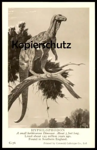 ALTE KARTE HYPSILOPHODON FOUND IN SOUTERHN ENGLAND Saurier saurien saurian Dinosaurier dinosaur reptile postcard cpa