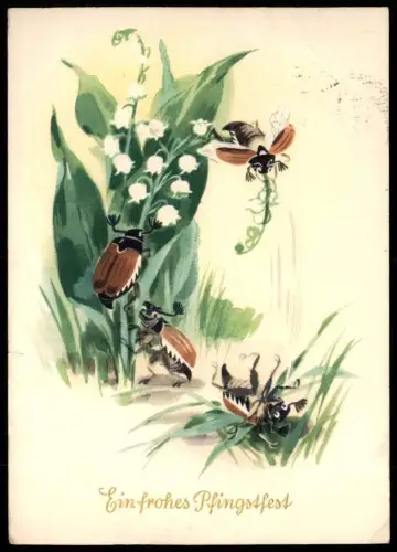 ÄLTERE POSTKARTE EIN FROHES PFINGSTFEST PFINGSTEN MAIKÄFER SPASS RUTSCHEN Pentecôte pentecost chafer gibus cpa AK