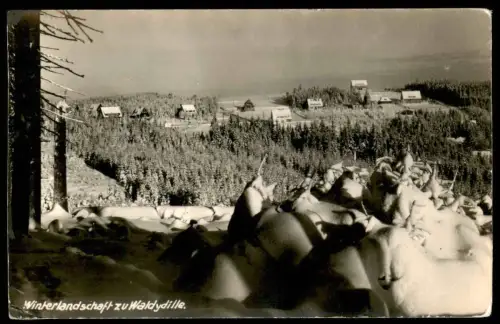 ALTE POSTKARTE OBERBÄRENBURG WINTERLANDSCHAFT ZU WALDIDYLLE ERZGEBIRGE Altenberg Schnee snow Winter Idylle Ansichtskarte
