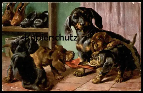 ALTE POSTKARTE DACKEL WELPEN SPIELEN Schuhe shoes Hund Dachshund Teckel dog chien Ansichtskarte AK postcard cpa