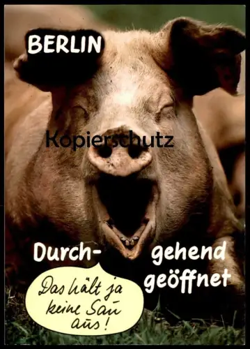 ÄLTERE HUMOR POSTKARTE BERLIN DURCHGEHEND GEÖFFNET BERLINER MAUER mur the wall Schwein Sau pig cochon