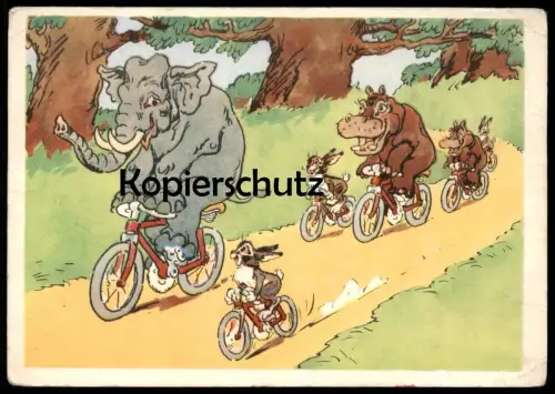 ÄLTERE POSTKARTE HIPPOS ELEFANTEN VERMENSCHLICHT Nilpferd Fahrrad elephant elephants tusker hippopotame Elefant bike cpa
