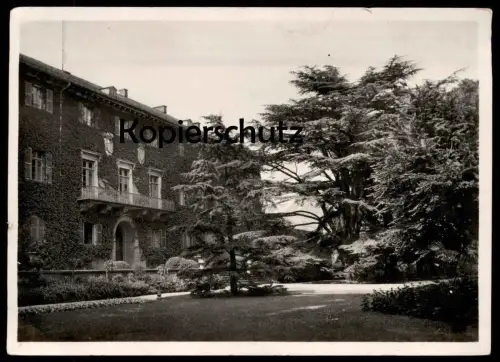 ALTE POSTKARTE SCHLOSS HOMBURG SITZ DER LANDGRAFEN V. HESSEN-NASSAU ANSICHT VON SÜDOSTEN MIT CEDER Zeder Ansichtskarte