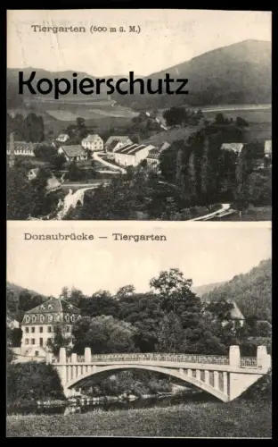 ALTE POSTKARTE TIERGARTEN DONAUBRÜCKE OBERKIRCH Brücke bridge pont Ansichtskarte postcard AK cpa