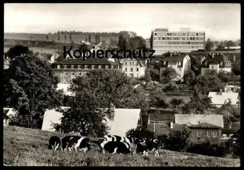 ÄLTERE POSTKARTE NIEDERWÜRSCHNITZ KREIS STOLLBERG Kühe Kuh cow cows Rinder vache Sachsen Lugau Ansichtskarte postcard