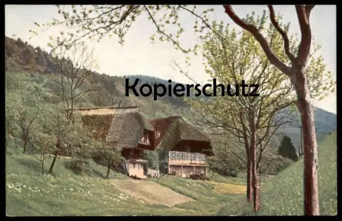 ALTE POSTKARTE SCHWARZWALDHAUS BAUERNHAUS IM SCHWARZWALD FARBENPHOTOGRAPHIE VON HANS HILDENBRAND LUMIÈRE BLACK FOREST