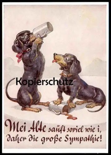 ALTE POSTKARTE DACKEL MEI ALTE SAUFT SOVIEL WIE I DAHER... Hund Dachshund Teckel dog chien Ansichtskarte AK postcard cpa