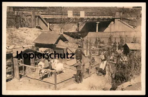 ALTE POSTKARTE BERLINER TYPEN LAUBENKOLONIE Ziege Berlin Schrebergarten goat allotment jardin familial cpa postcard AK
