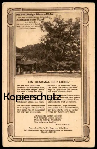 ALTE POSTKARTE GASTHAUS ZUM UGLEI 600 JAHRE ALTE EICHE DENKMAL DER LIEBE Uklei Eutin Baum Oak Tree Chene Arbre