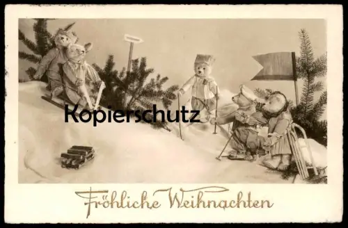 ALTE POSTKARTE TEDDYBÄREN RODELN VERMENSCHLICHT Teddy Bär Beer Bear Ours Oso Nounours Bären sleigh luge Ansichtskarte AK
