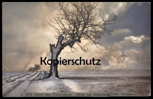 ALTE POSTKARTE NACH DEM SCHNEESTURM MOTIV BEI HELFENBERG BEZIRK DRESDEN SCHÖNFELD-WEISSIG NENKE OSTERMAIER Ansichtskarte