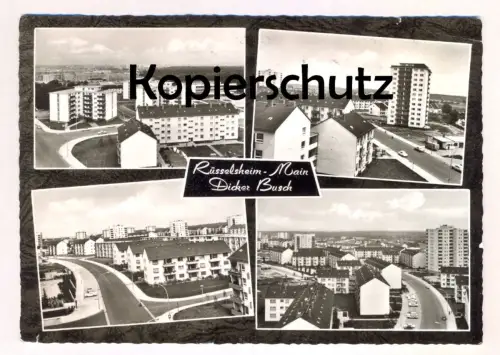 ÄLTERE POSTKARTE RÜSSELSHEIM MAIN DICKER BUSCH Ansichtskarte AK cpa postcard