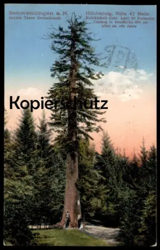 ALTE POSTKARTE GRÖSSTE TANNE SCHWENNINGEN HÖLZLEKÖNIG BIGGEST TREE VILLINGEN arbre Baum AK Ansichtskarte cpa postcard