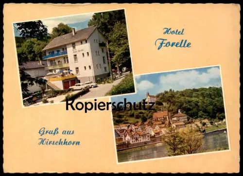 ÄLTERE POSTKARTE HIRSCHHORN AM NECKAR HOTEL PENSION FORELLE BES. H. ZIEGLER AK Ansichtskarte cpa postcard
