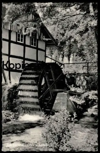ÄLTERE POSTKARTE FURLBACHTAL SENNE BEI PADERBORN WASSERMÜHLE Mühlstein Mühlrad Mühle mill moulin Ansichtskarte postcard