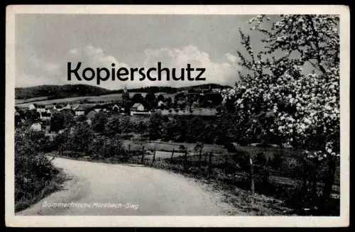 ALTE POSTKARTE SOMMERFRISCHE MORSBACH SIEG TOTALANSICHT Kirschblüte Gesamtansicht Total Ansichtskarte cpa AK postcard