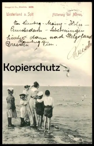 ALTE POSTKARTE WESTERLAND AUF SYLT 1899 FÜTTERUNG DER MÖWEN KINDER KIND MUTTER FRAU AK Ansichtskarte postcard cpa