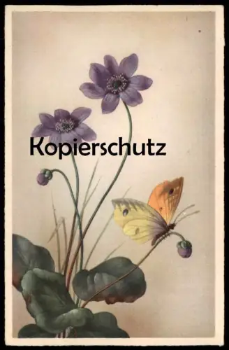 ALTE KÜNSTLER POSTKARTE SCHMETTERLING AUF BLUME flower fleur butterfly papillon cpa postcard AK Ansichtskarte