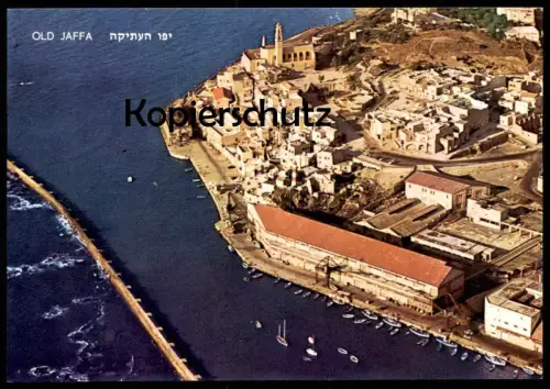 ÄLTERE POSTKARTE OLD JAFFA PORT LUFTBILD vue aerienne Hafen Israel postcard Ansichtskarte AK cpa