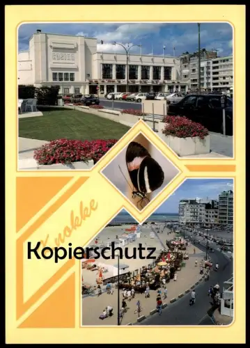 ÄLTERE POSTKARTE KNOKKE SCHMETTERLING ZEBRAFALTER heliconius beskei butterfly papillon cpa postcard AK Ansichtskarte