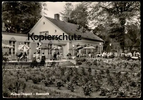 ÄLTERE POSTKARTE PUTBUS AUF RÜGEN ROSENCAFÉ Café cpa AK postcard Ansichtskarte