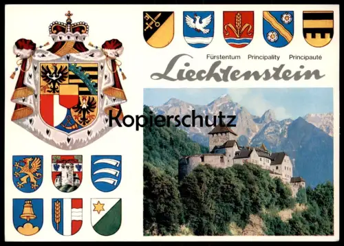 ÄLTERE POSTKARTE FÜRSTENTUM LIECHTENSTEIN PRINCIPALITY PRINCIPAUTÉ Wappen blason coat of arms Ansichtskarte cpa postcard