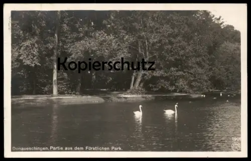 ALTE POSTKARTE DONAUESCHINGEN PARTIE AUS DEM FÜRSTLICHEN PARK 1924 Schwäne cygne swan parc Ansichtskarte AK cpa postcard