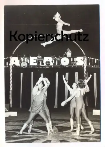 ÄLTERE POSTKARTE STAATSZIRKUS DER DDR DIE DELPHINS WURFAKROBATIK Aeros Akrobat acrobat circus Zirkus Cirque cpa postcard