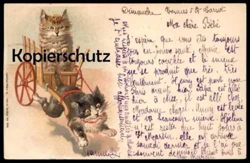 ALTE POSTKARTE KATZEN KATZE ZIEHT KARREN VERMENSCHLICHT Einspänner cat cats chat chats Ansichtskarte cpa postcard AK